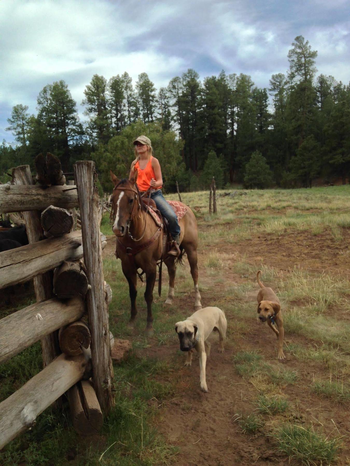 Grand Canyon Ranch & Outfitters Hotel Fredonia Екстериор снимка
