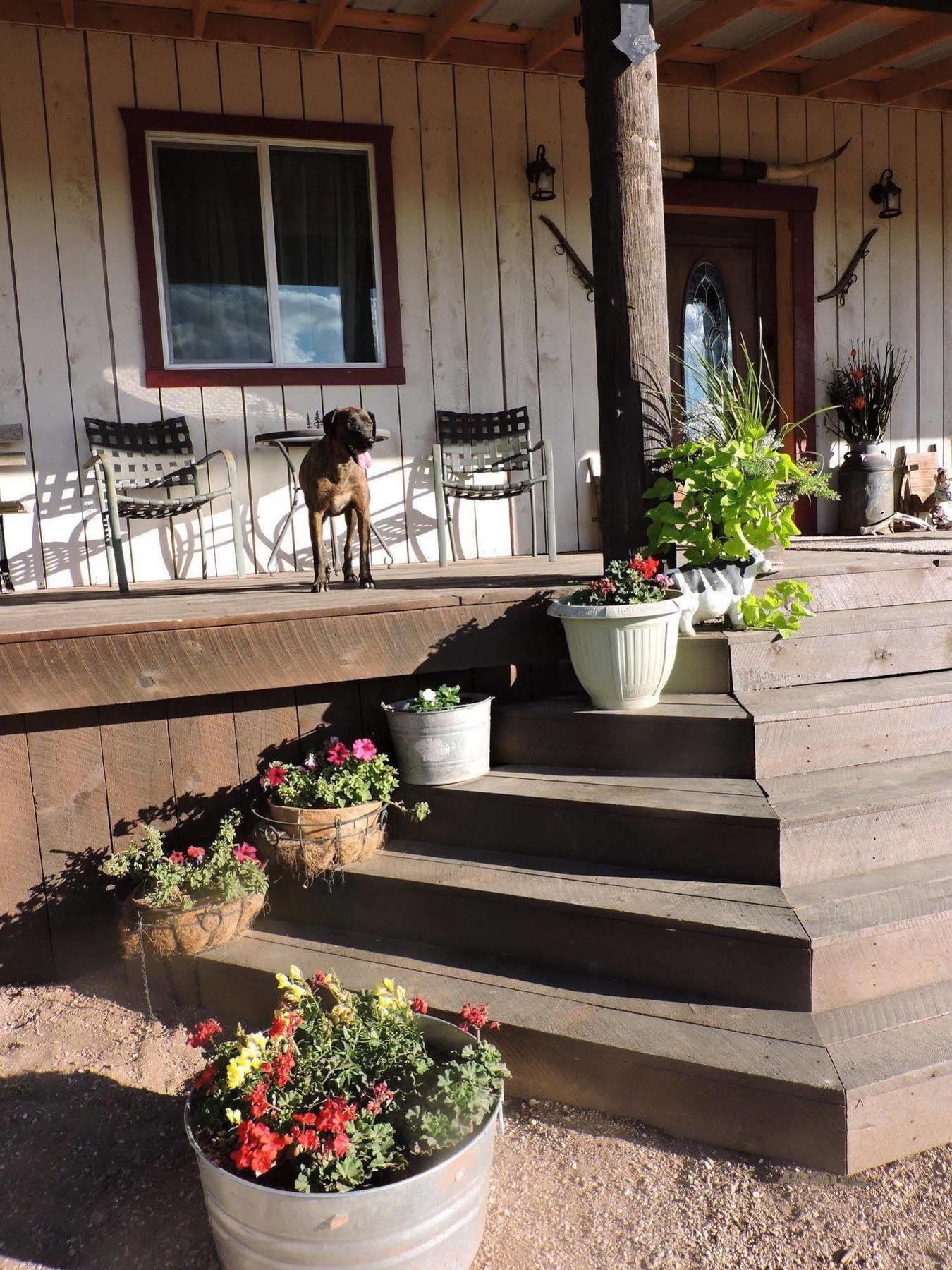 Grand Canyon Ranch & Outfitters Hotel Fredonia Екстериор снимка